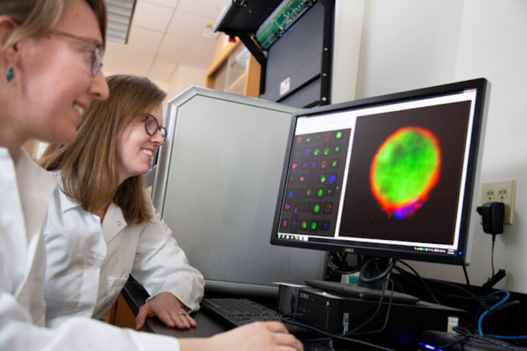 Nibbling away at discovery