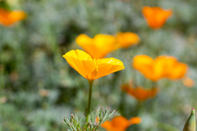 Instagram posts are ruining nature