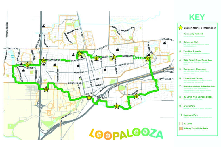Tenth annual Loopalooza welcomes all