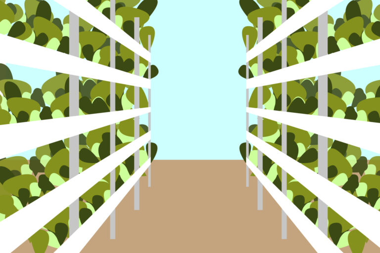 Is vertical farming a solution for feeding our growing cities?