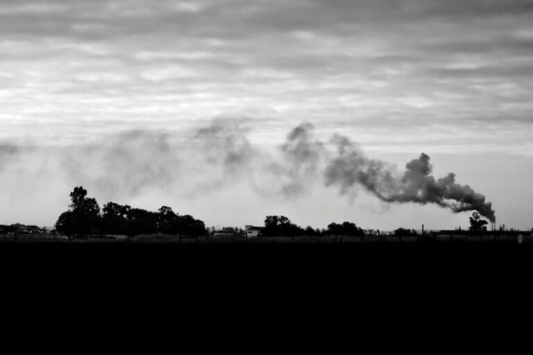 UC Davis researchers model climate change impact and search for resilient options on campus