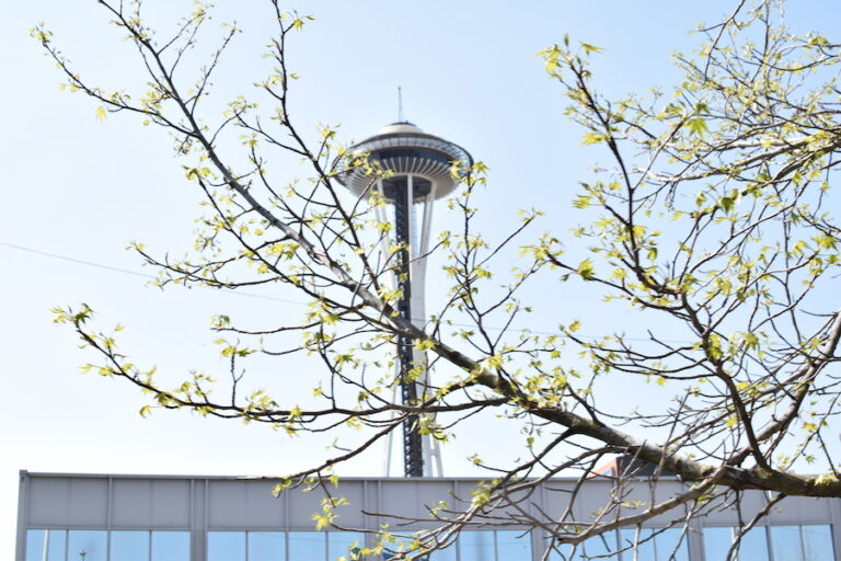 Video game worlds are more than just a background