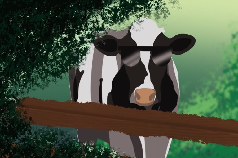 Humor: Tercero cow wears disguise to avoid families during orientation season