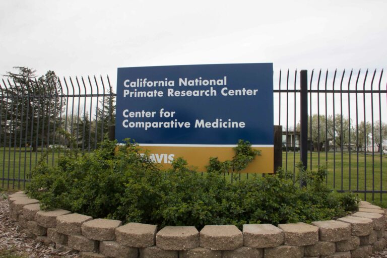 7 infant primates die at UC Davis’ primate research center
