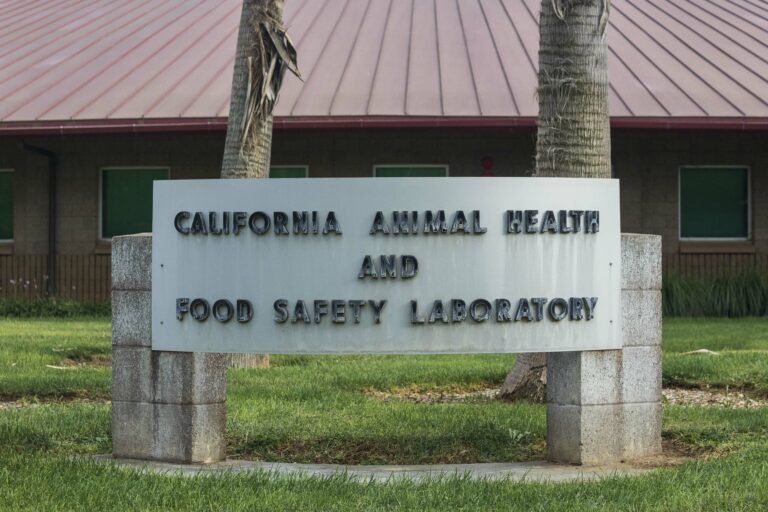 UC Davis awarded $845.5 million in research funding over 2018-19 school year