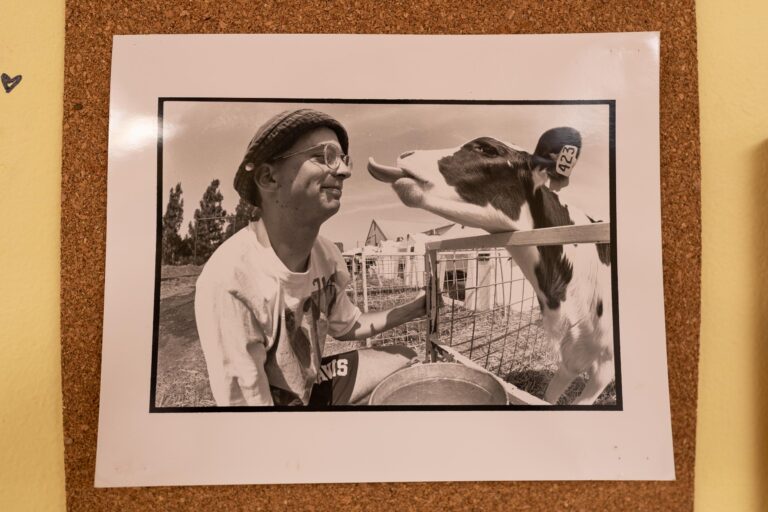 The role of professors in understanding modern-day undergraduate pressures