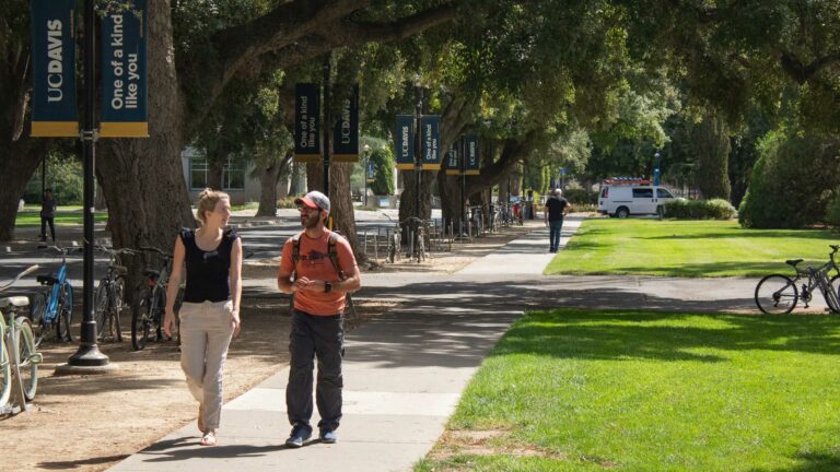 September dedicated to pedestrian safety