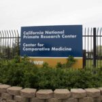 primatecontroversy_ca_Ashley_Lugo