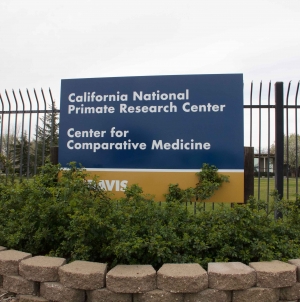 Animal rights activists urge sanctions after deaths of seven baby primates garner media attention