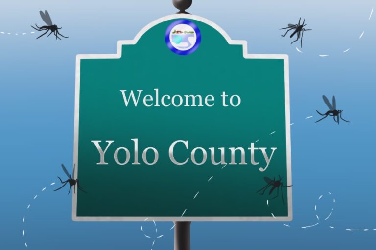 Officials warn of West Nile virus activity in Yolo, Sacramento County