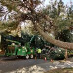 blackouts_fe_JUSTIN_HAN