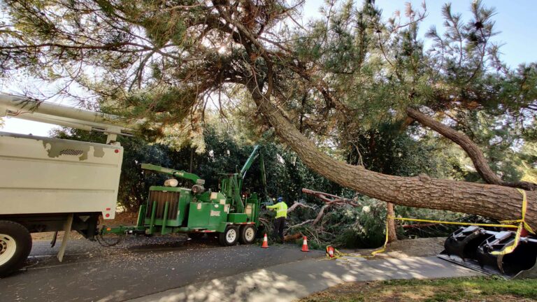 Students recount being affected by power outages, store closures