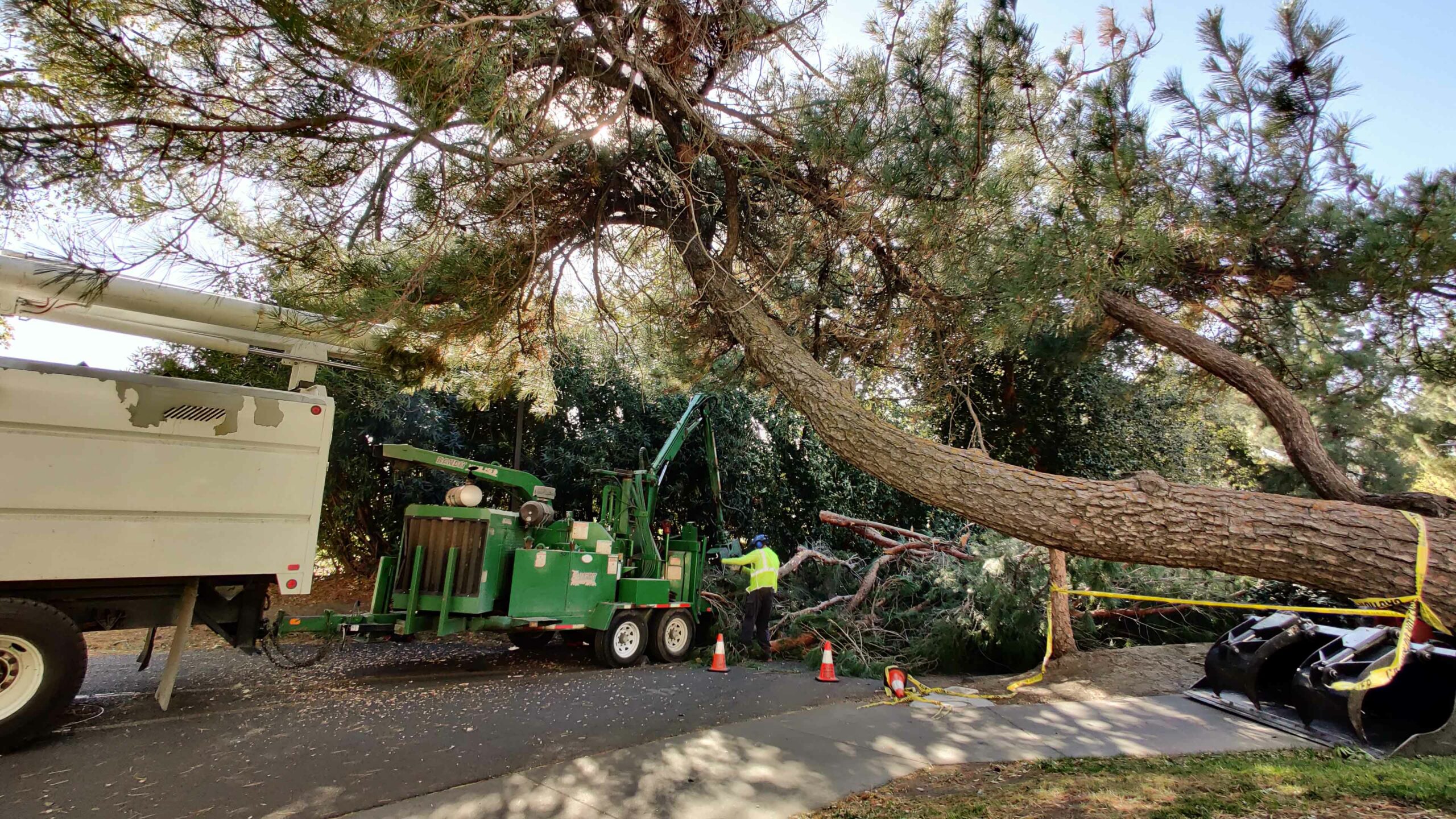 Students recount being affected by power outages, store closures The