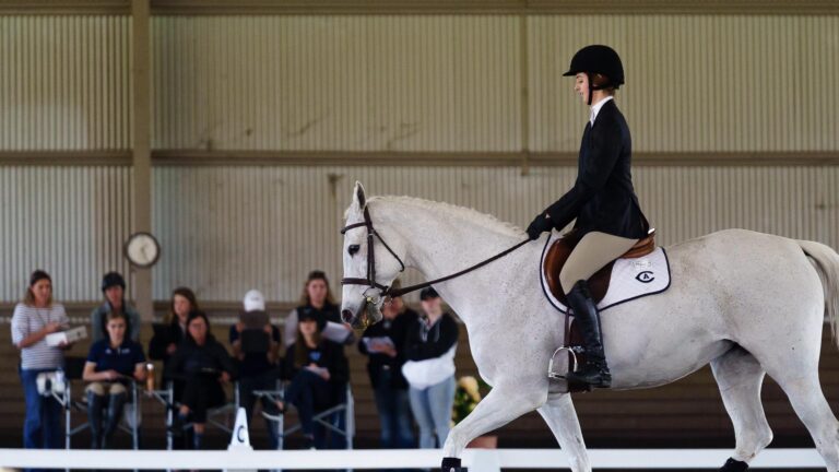 UC Davis equestrian season comes to an end