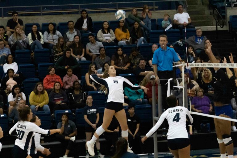 Player Spotlight: Lauren Matias