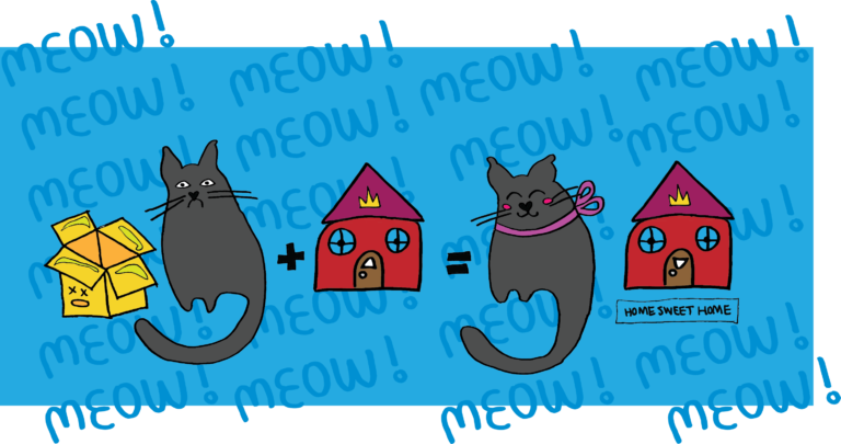 Orphan Kitten Project facilitates fostering, adopting kittens