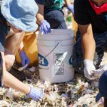 plastic_op_JUSTIN_HAN