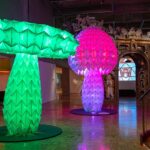 burningman_ar_OAKLAND_MUSEUM_OF_CALIFORNIA_COURTESY