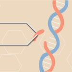 crispr_sc_KATHERINE_FRANKS_AGGIE