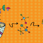 dyes_sc_MARIO_RODRIGUEZ_AGGIE