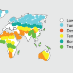 fragmentation_sc_MARIO_RODRIGUEZ_AGGIE