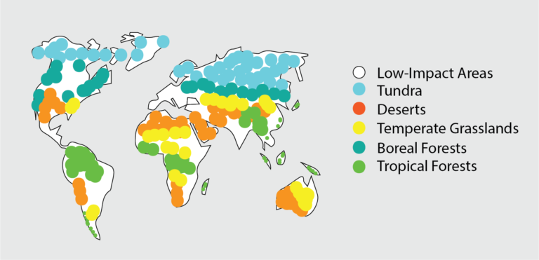 Habitat fragmentation threat to biodiversity, research shows