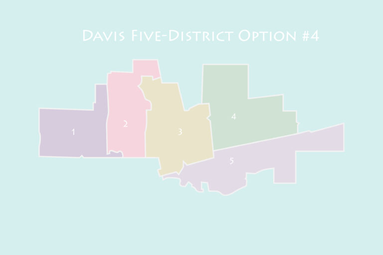 City selects final, five-district map for next year’s election