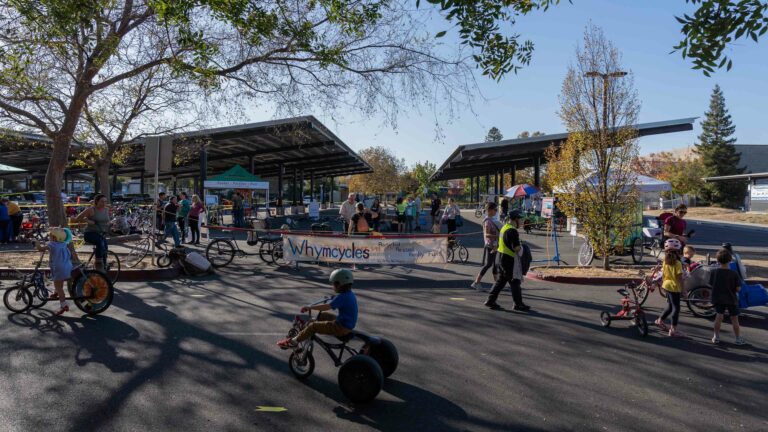 Davis Pedalfest: A celebration of bicycles