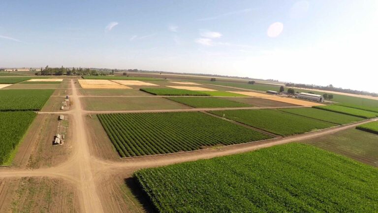 Russell Ranch: UC Davis’ hallmark sustainable agricultural research center