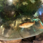 odetobruce_ar_ANDREW_WILLIAMS