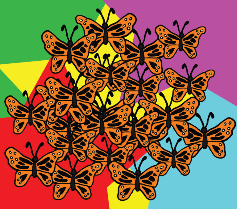 Yolo County responds to decline of western monarchs by increasing breeding, foraging habitat