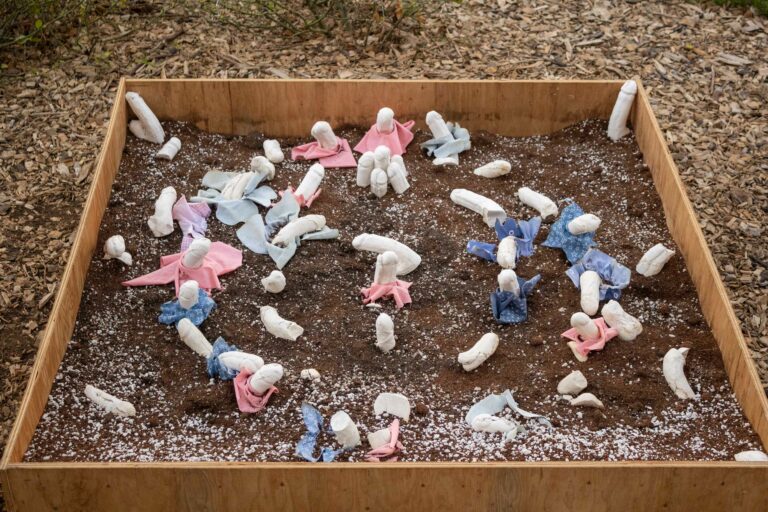 Gardens grow penises: A transgender student challenges gender norms through art