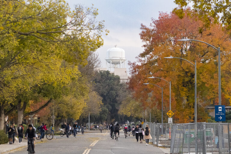 The UC Davis Experience from an international lens