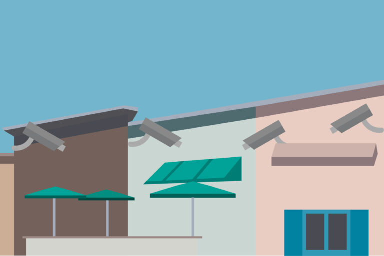 Davis PD weighs possibility of public security cameras, plate readers to combat theft