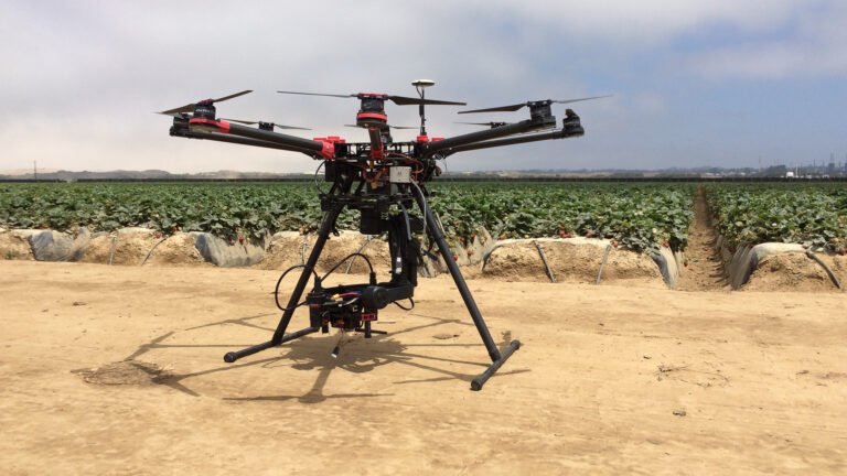 Using drones and predatory bugs, UC Davis researchers treat crop pests