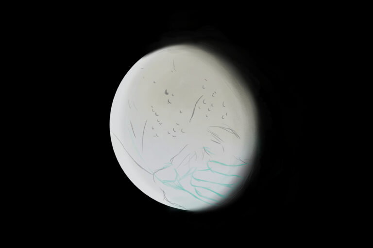 UC professors work on collaborative research to explain tiger stripes of Enceladus, Saturn’s tiny, icy moon