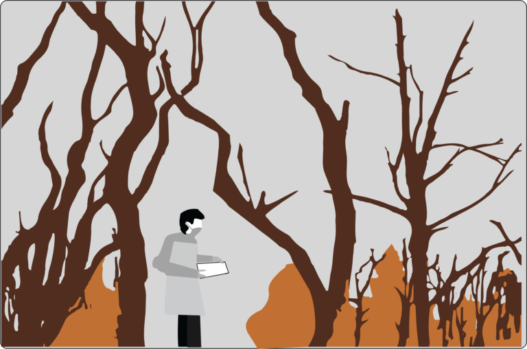 UC Davis researchers receive grant for wildfire mitigation, particle accelerator study