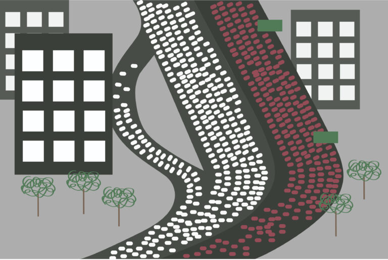 Environmental costs of the holiday season