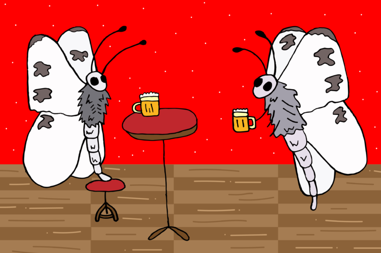 No winner crowned in Beer-For-a-Butterfly contest for first time in 49 years