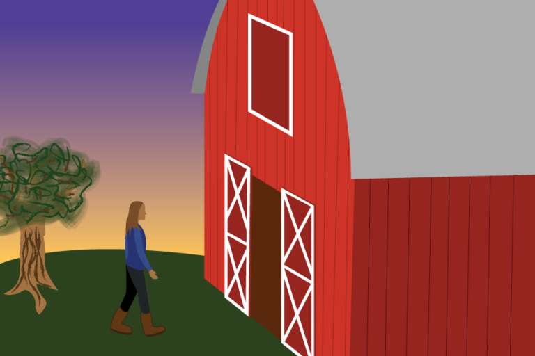 “That’s so Davis”: the course that revolves around milking cows at the break of dawn