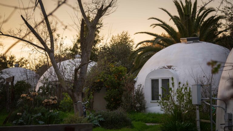 Creating community within the Domes