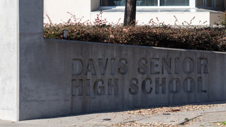 More than diversity: Davis Joint Unified School District plans to implement ethnic studies program