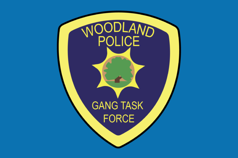Gang task force organized by Woodland Police Department in response to recent surge in violence