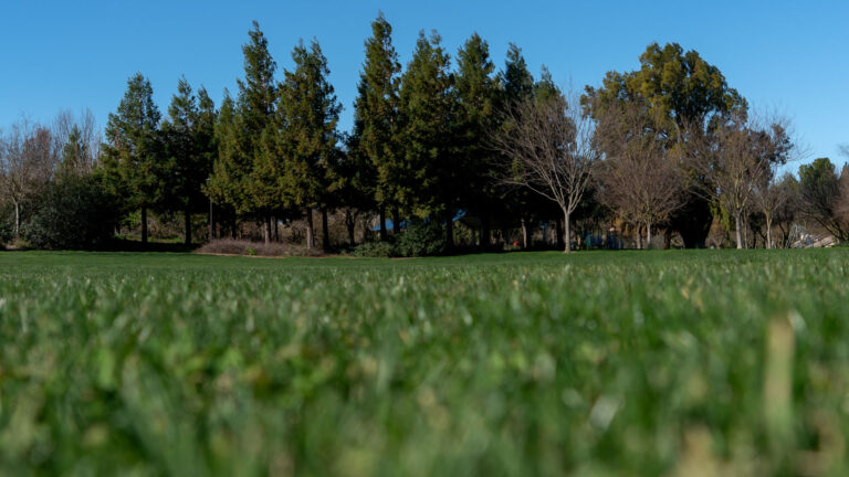 Davis City Council officially ends use of glyphosate, approves use of pre-emergent pesticides amid community’s concern