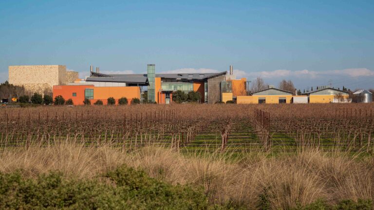 UC Davis student-made wines could soon be on the market thanks to this California Senate Bill