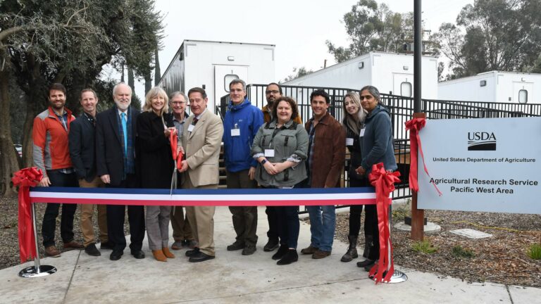 New honey bee research facility opens on campus