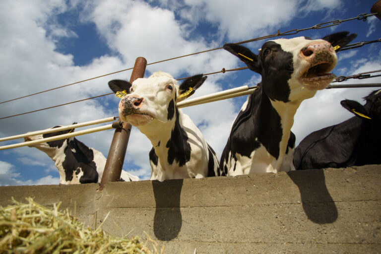 Large reduction in emissions from the California dairy industry over past 50 years