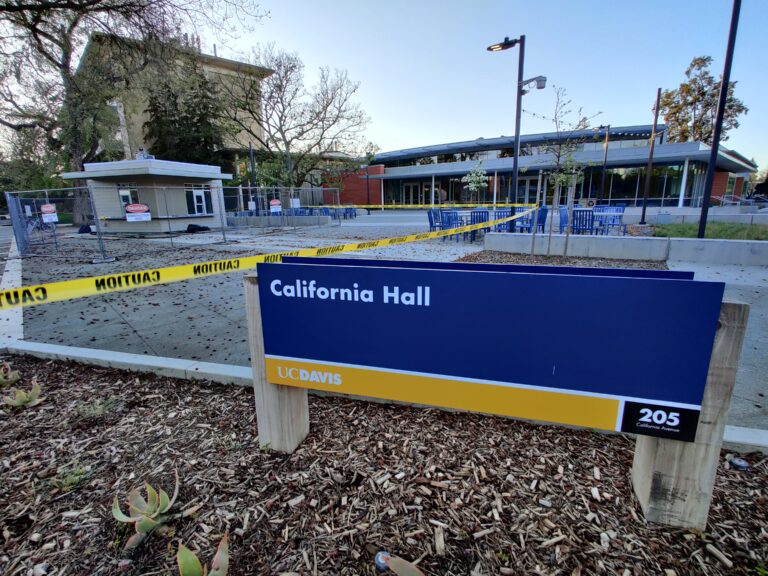 Lecturers discuss obstacles, plans for remote instruction