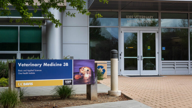 UC Davis ranks first worldwide in veterinary science, second in agriculture and forestry, sixteenth in environmental science