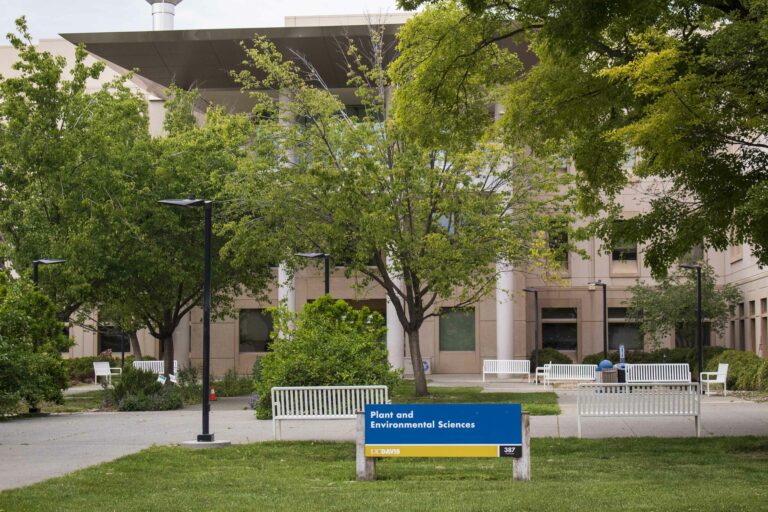 UC Davis professors speak to environmental changes COVID-19 pandemic has brought and will bring